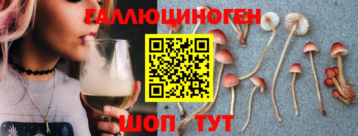 Псилоцибиновые грибы MAGIC MUSHROOMS  Вход с VPN  Псилоцибиновые грибы прущие грибы  Йошкар-Ола 