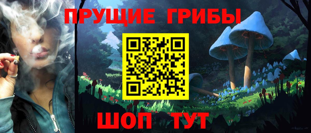 Псилоцибиновые грибы MAGIC MUSHROOMS Йошкар-Ола